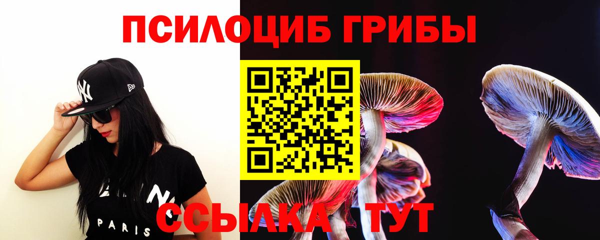 Галлюциногенные грибы Magic Shrooms Камышлов